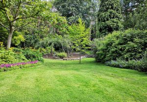 Optimiser l'expérience du jardin à Vrecourt